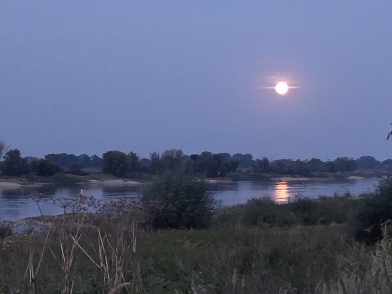 Sonnenuntergang an der Elbe