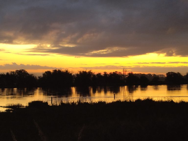 Sonnenuntergang an der Elbe