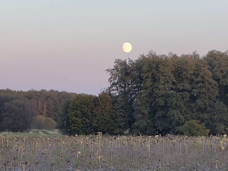 Sonnenuntergang an der Elbe