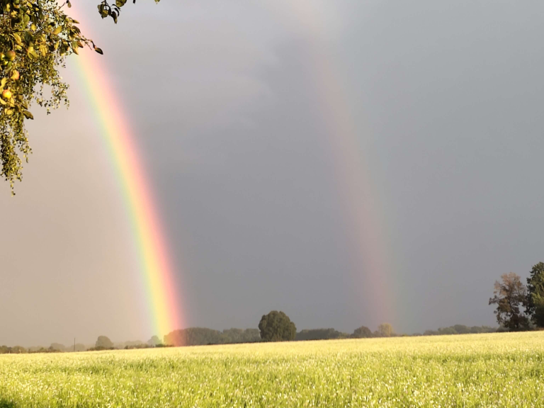 Regenbogen auf einem Feld im Wendland